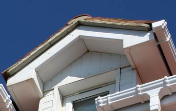 Prion fascia installation costs
