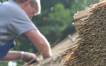 professional Prion thatchers